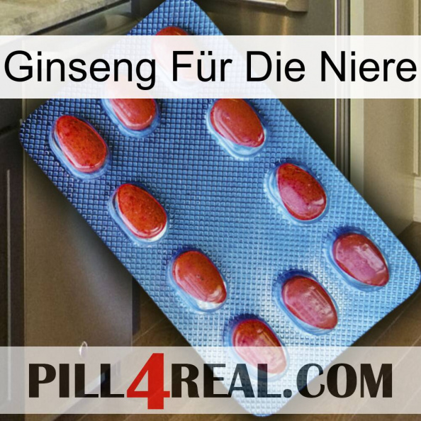 Ginseng Für Die Niere 06